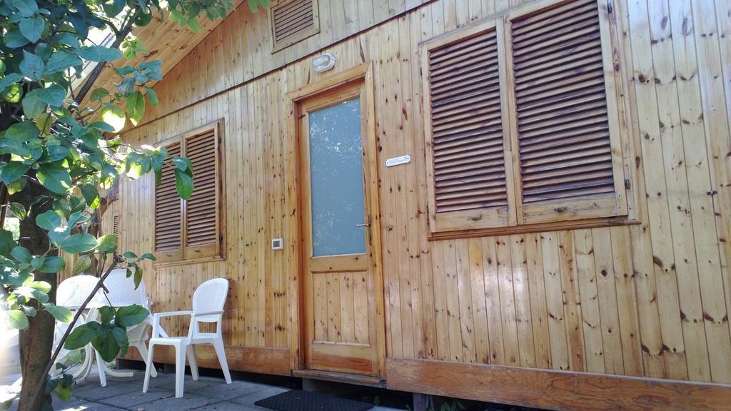 One-Bedroom Bungalow (4 Adults),247043437:JPEG