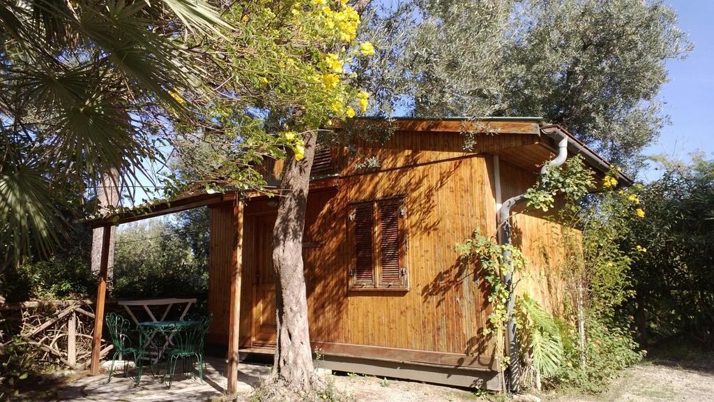 Bungalow (2 Adults),247043441:JPEG