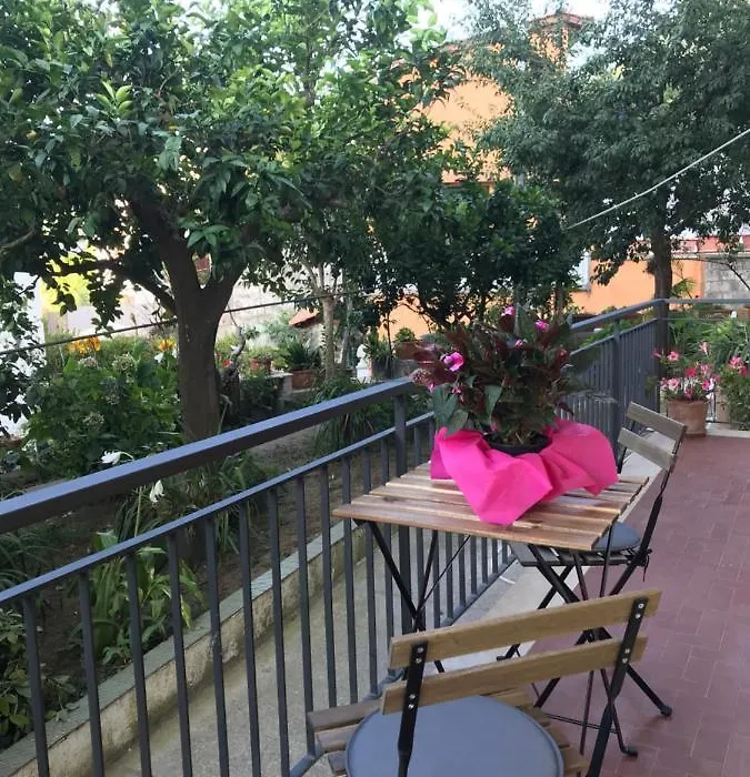 B&B Miccio-1