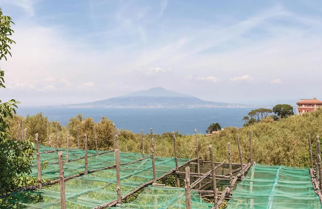 Villa La Limonaia-1