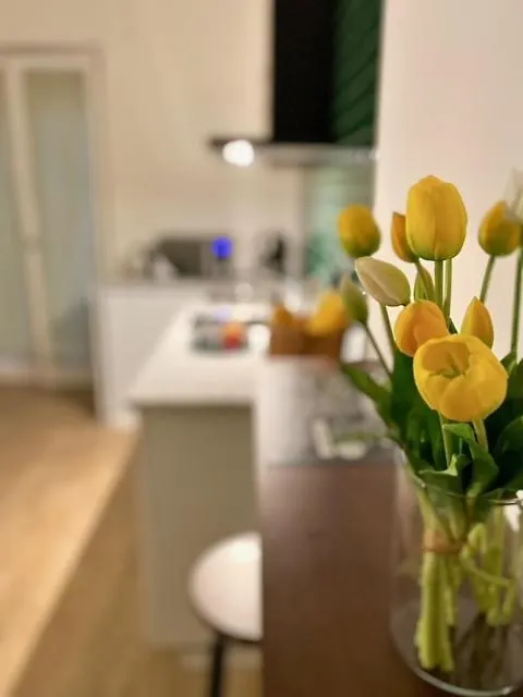 Maison Bisou-1