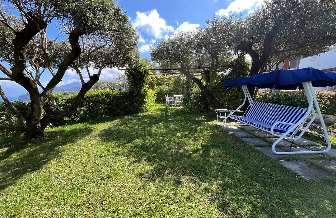 Sorrento Olive Tree Garden-1