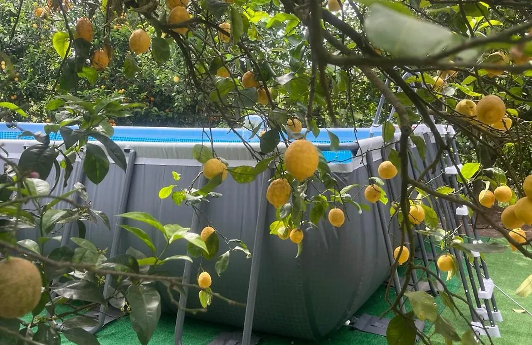 YourHome - San Valerio Home-1