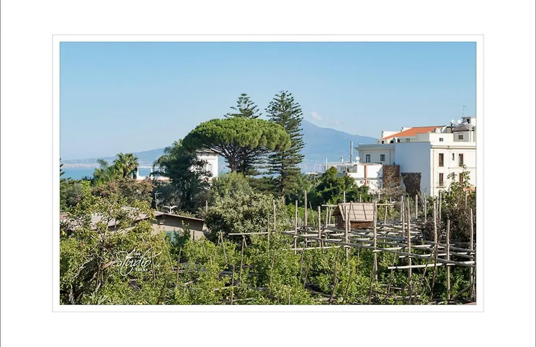 Orsola Maison-1