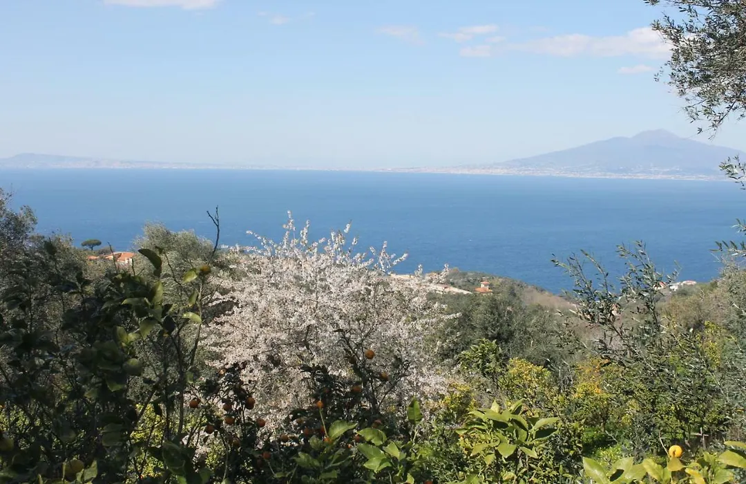 La Torre Relais Sorrento-1