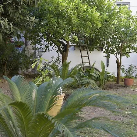 William Apartment Sorrento-2