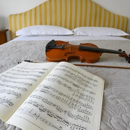 Violinist'S House-2