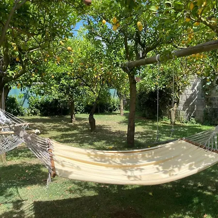 Casa Sorrento, Immerso Nel Verde A Pochi Passi Dal Centro-3
