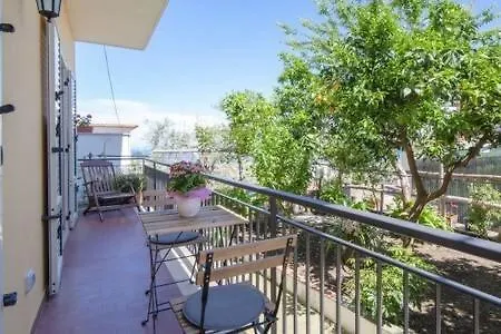 B&B Miccio-3