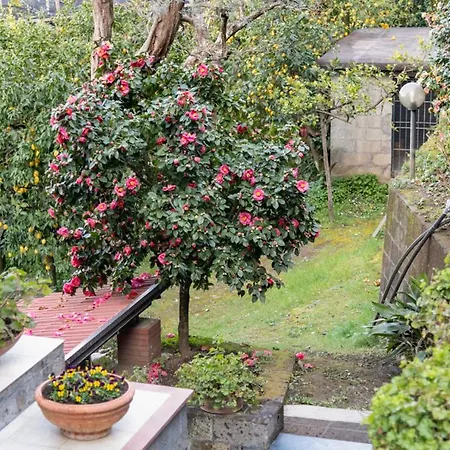 Sorrentovibes - Sea View Rooftop Apartment With Jacuzzi & Garden-2
