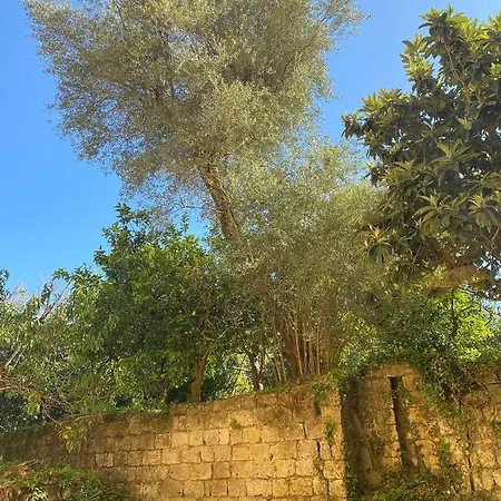Marama B&B Sorrento-3