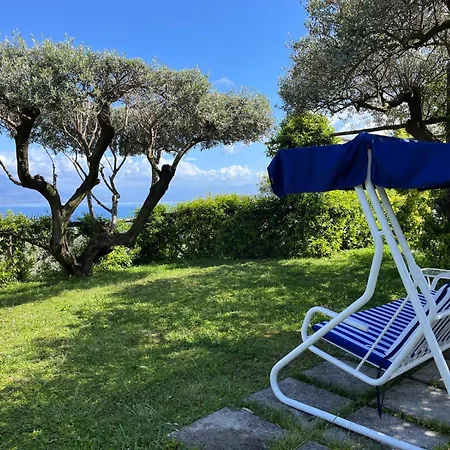 Sorrento Olive Tree Garden-2