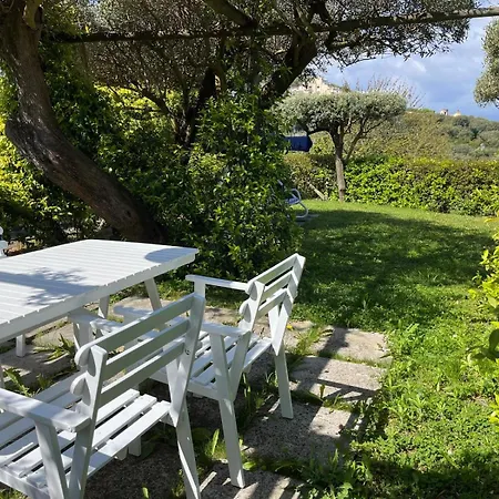 Sorrento Olive Tree Garden-3