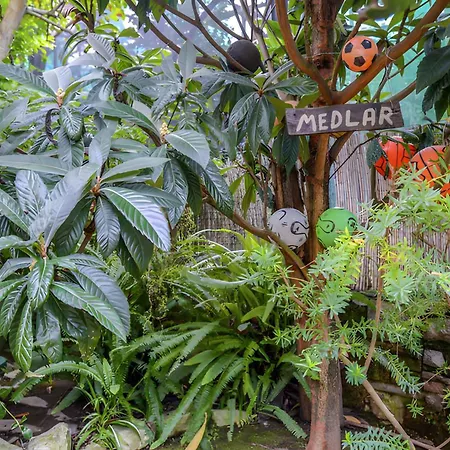 Apartment Sorrento 2-3
