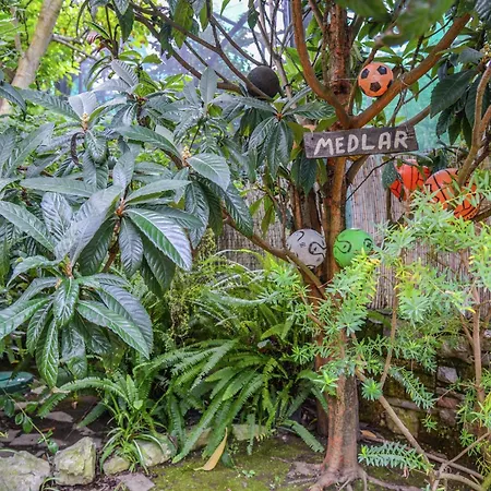 Luxurious Mansion In Sorrento With Garden-3