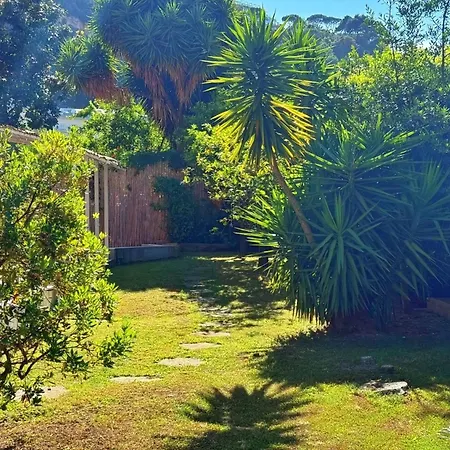Giardino Archeologico-3