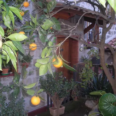 B&B L'Arcobaleno-2