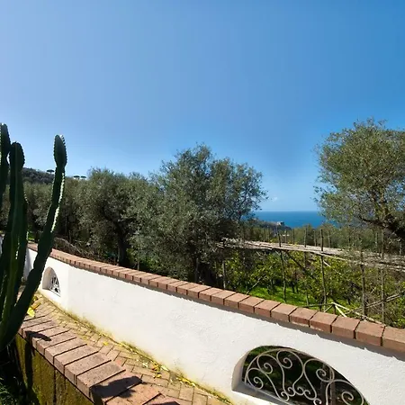 Villa Le Olivine-2