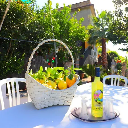 La Rosa Del Sud - De Vivo Realty Sorrento-3