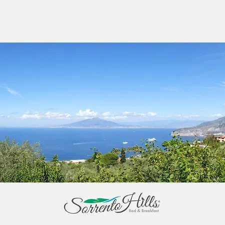Sorrento Hills-3