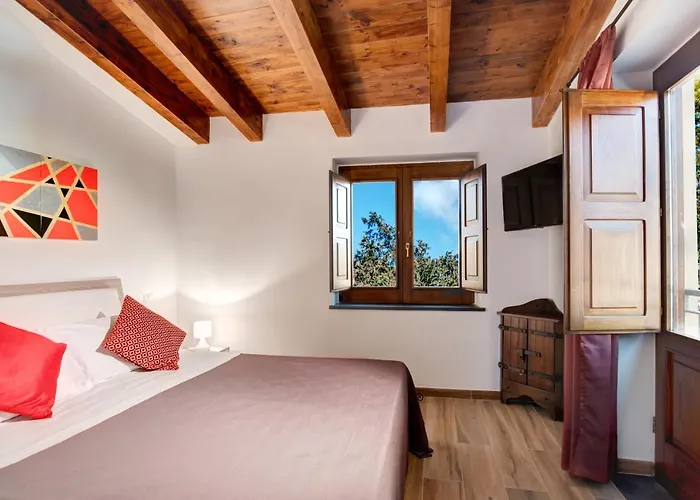 Villa Casa Barone con giardino Sorrento che accetta animali