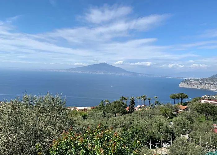 Bed and breakfast Sorrento Hills acceptant les animaux