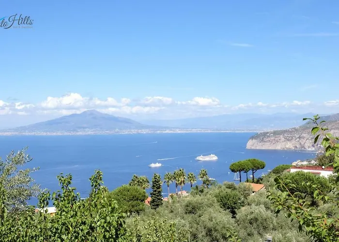 Bed and breakfast Sorrento Hills acceptant les animaux